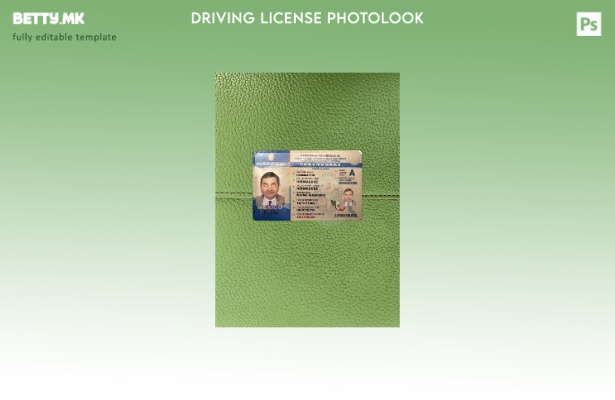 Модерен стил на Мексико Долна Калифорнија државната возачка дозвола, преден шабл